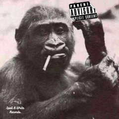 Highest Monkey In The Jungle by Don Darious  ( Prod.Freakshow)