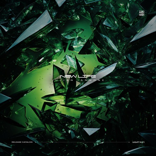 IAMT421: Julian Iannone - New Life