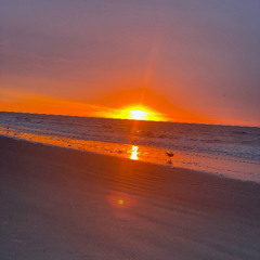 a thousand sunsets