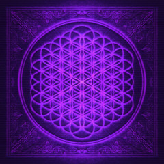 Bring Me The Horizon - Can You Feel My Heart (Undehfined Remix)