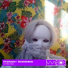 phonon~ swarming 06/25 w/ Alley Catss