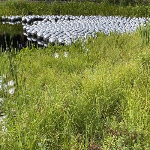 01a4•1.a4;ph.IIIa;