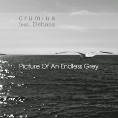 Picture Of An Endless Grey -  feat. Dehaas