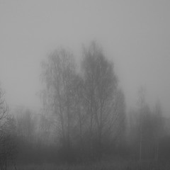 disappear into the fog