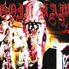 FPS - GOIN HAM *2K24 LOST MEDIA* (PROD. FPS)