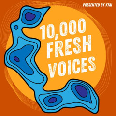 What's New on MinneCulture