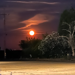 When the Silence Starts to Speak