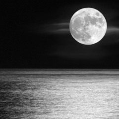 idk (prod. Dankjaun)