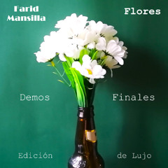 Botes de Madera (Demo)
