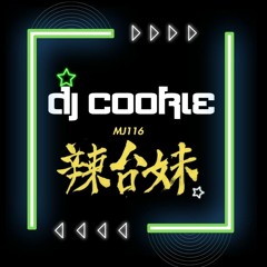 辣台妹 x DJ Cookie Mashup