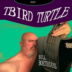 TBird Turtle