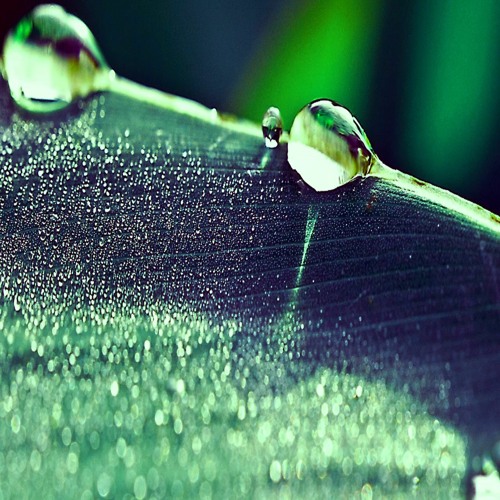 Balance the horizon ❋ Into the storm. but softly ~ Ecstatic Dance Haifa ❋ 19.11.21