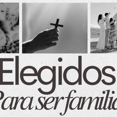 Elegidos para Ser Familia - Diana Lavalle