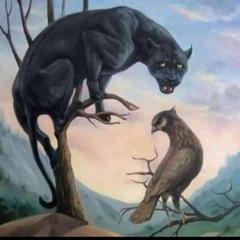 Brahvi_singer_waseem_Alim_best_songs_for_birds_to_safe_birds_from_shikaari_safe_birds_from_hunters(1