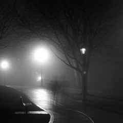 Fog Nocturne