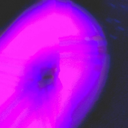 june.wav (purple remix)
