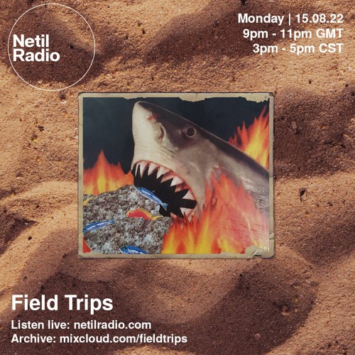 Field Trips - Summertime Grooves - August 2022 - Netil Radio