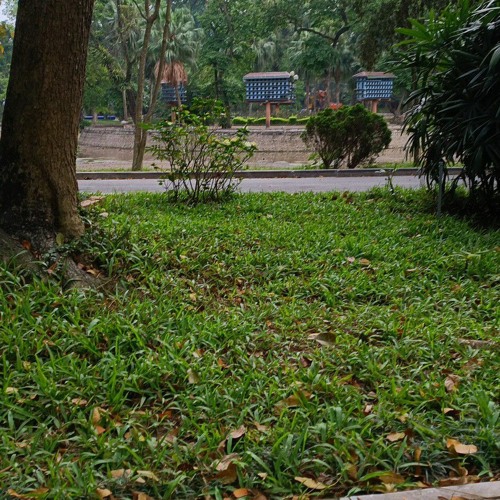 Xa demo (ghi âm ở quán cafe nên ồn zllll)