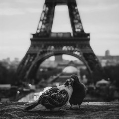 Weissenberg, Alexis - En Avril à Paris
