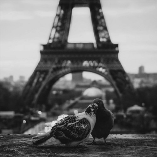 Weissenberg, Alexis - En Avril à Paris