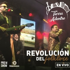 Viajando voy