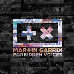 Martin Garrix - Forbidden Voices (CDC & DAVXD Drum & Bass Remix)