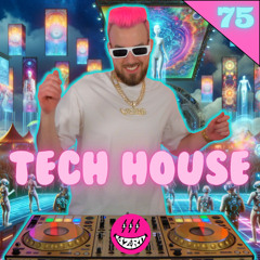 Tech House Mix 2024 | #75 | Enisa, Pickle, CASHEW, James Hype | Best of Tech House 2024 by DJ WZRD