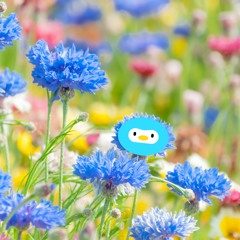 開花テスト