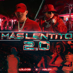 SIN MALDY NO HAY PERREO