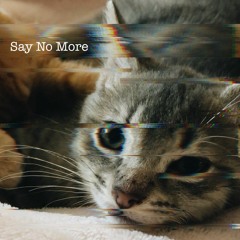 Say No More (Rihanna x Flume)