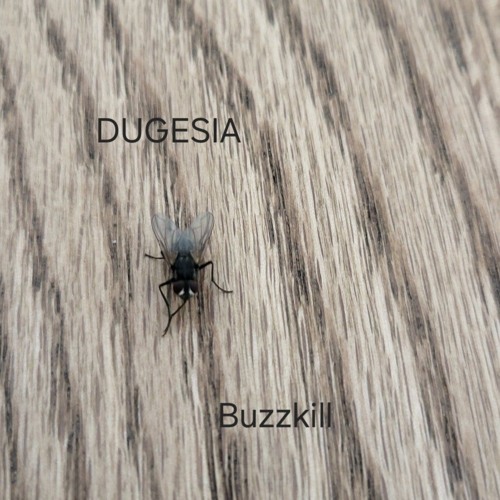 Buzzkill