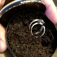 This Is Real Country (Feat. Brady & Caden)