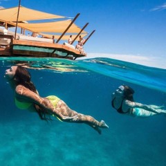 DEEP SOUTH WAVES -  NIKOS DANELAKIS