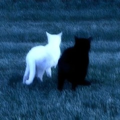 Урал Гайсин - я молодой вампир vamp (slowed+reverb)