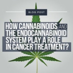 Cannabinoids And The Endocannabinoid System - How They Interact In Cancer Treatment