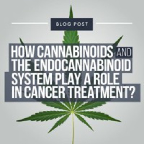 Cannabinoids And The Endocannabinoid System - How They Interact In Cancer Treatment