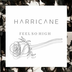 Harricane - Feel So High ( Original Mix )