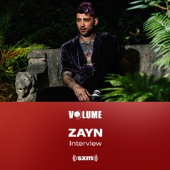 Zayn on Debatable
