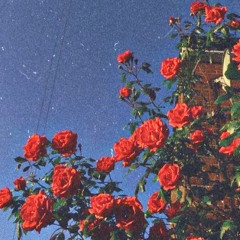 When Was That - Angus & Julia Stone (Slowed + Pitched)