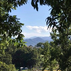 LOFTSOUL SUMMER HAS COMING 2020