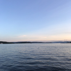 Gold Roses (marry xmas) freestyle