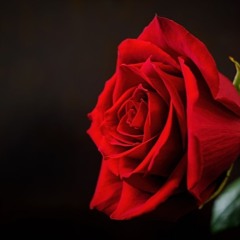 Lullaby for a Princess