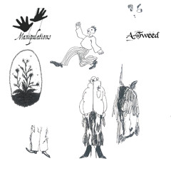 Manipulations of A-Tweed