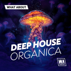 Deep House Organica | Nora En Pure Style Sounds, MIDI & Serum Presets