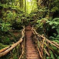 House Mix