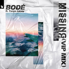 Missing (VIP Mix) [feat. Tanya Lacey]