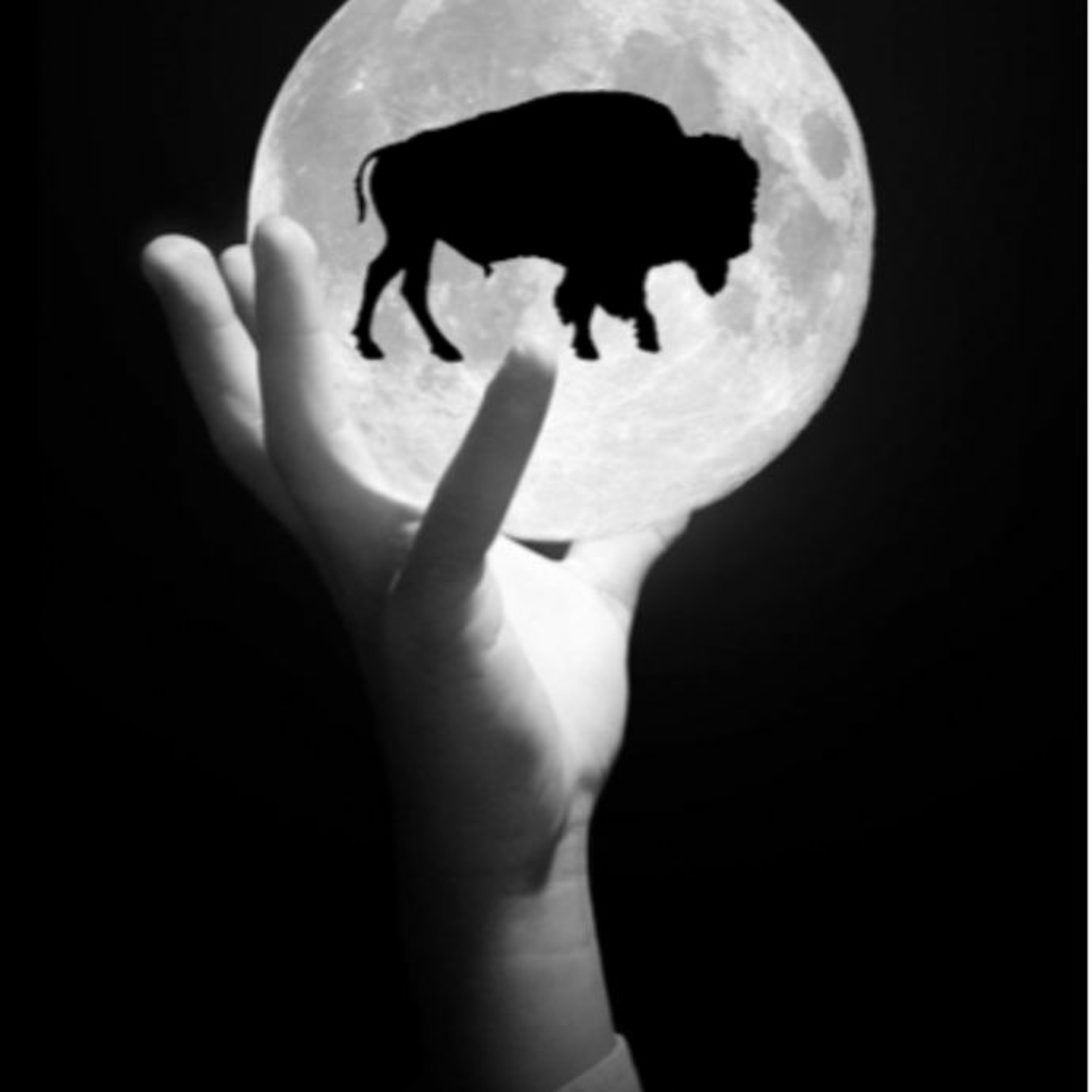 Work – Bison Moon – BM01 – 22 episode artwork