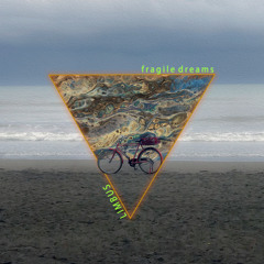 Fragile Dreams