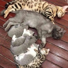 Jiro Inagaki & Soul Media - Painted Paradise