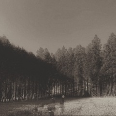 이별은 좋았기에 슬픈거야